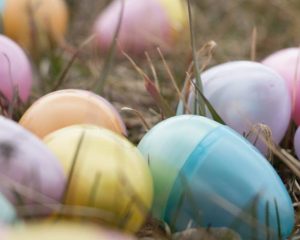 2019 Easter Egg Hunts in the Rockford Area