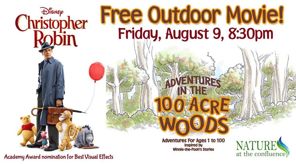 Outdoor Movies in the Stateline This Summer