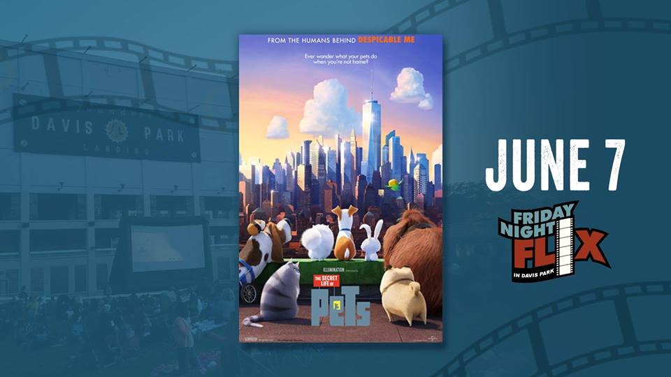 Outdoor Movies in the Stateline This Summer